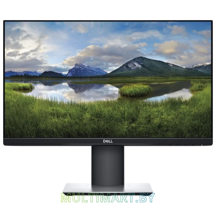 Монитор Dell P2219HC